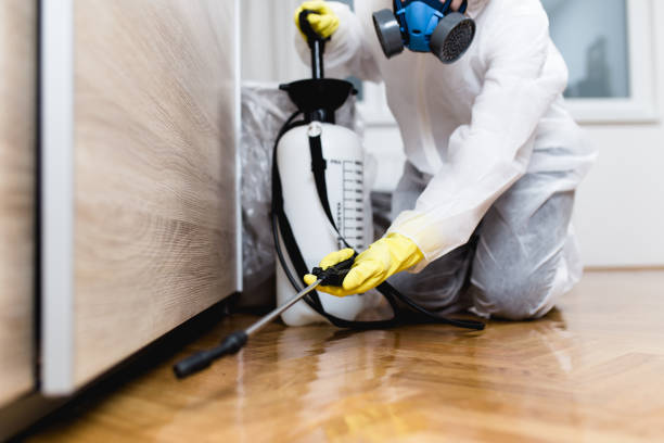 Best Pest Control for Restaurants  in Skokie, IL