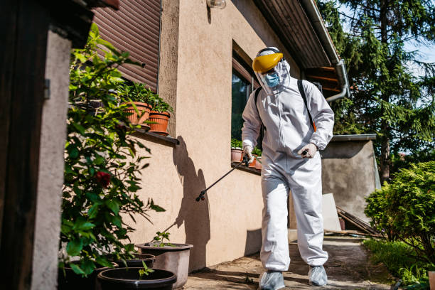 Best Flea Control Services  in Skokie, IL