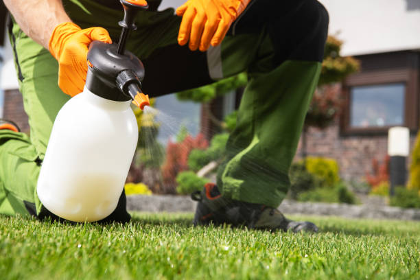 Best Best Pest Control Companies  in Skokie, IL