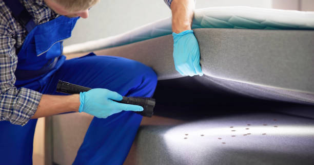 Best Affordable Pest Control Services  in Skokie, IL