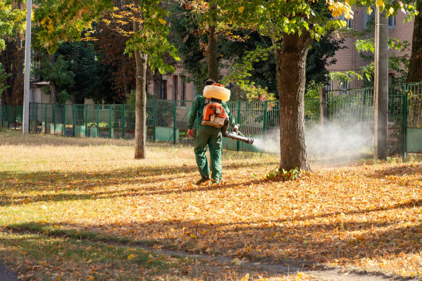 Best Pest Removal Services  in Skokie, IL