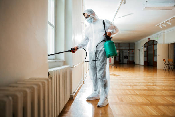 Best Termite Control Services  in Skokie, IL