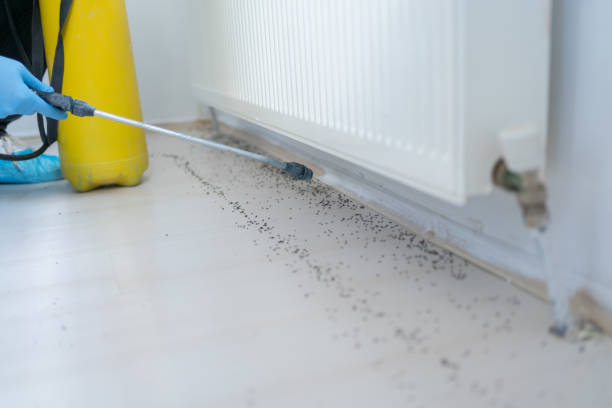 Pest Control for Restaurants in Skokie, IL