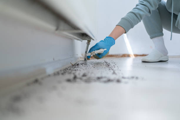 Bird Control in Skokie, IL